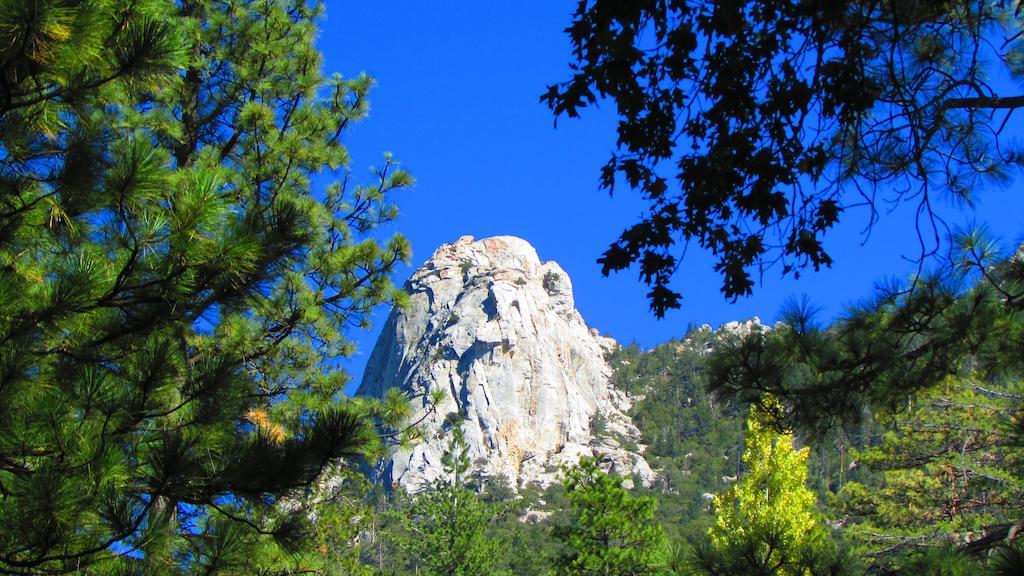 Always Inn Idyllwild Vacation Cottages Exterior photo